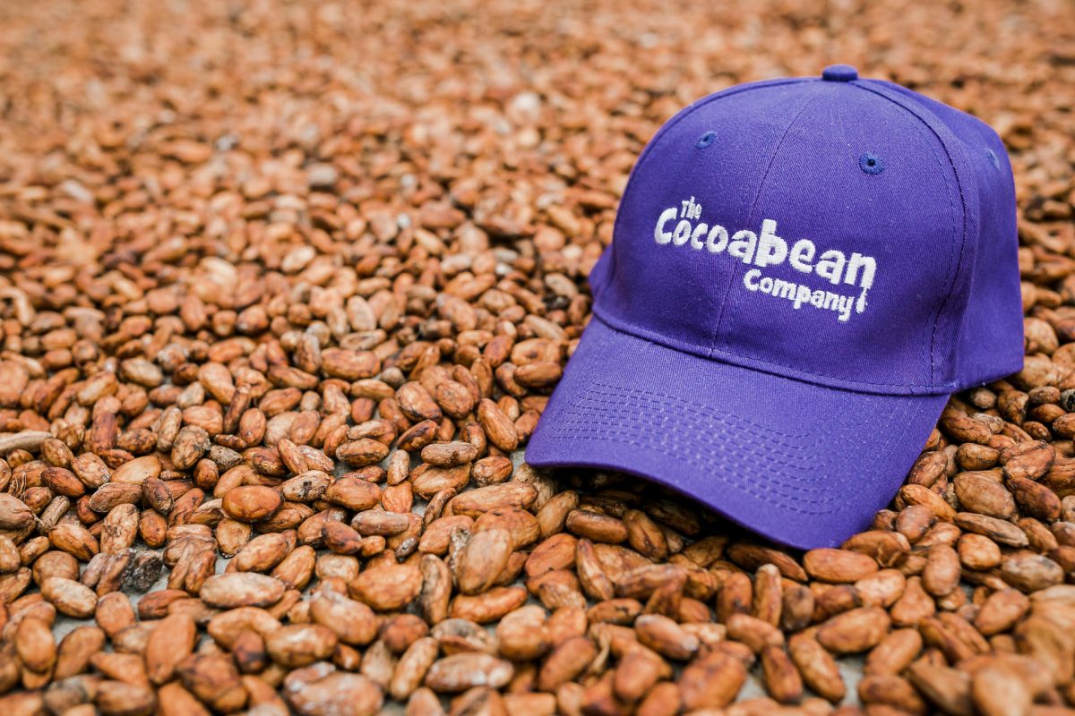 cocoa beans with purple hat